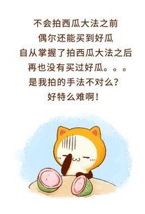 做一个吃瓜群众的说说,吃瓜群众视角下的娱乐圈风云录