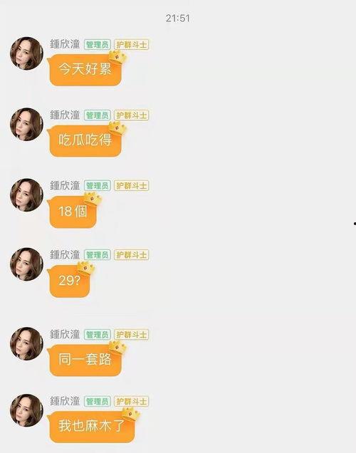 娱乐吃瓜酱谐音歌词完整版,揭秘谐音歌词背后的趣味与魅力